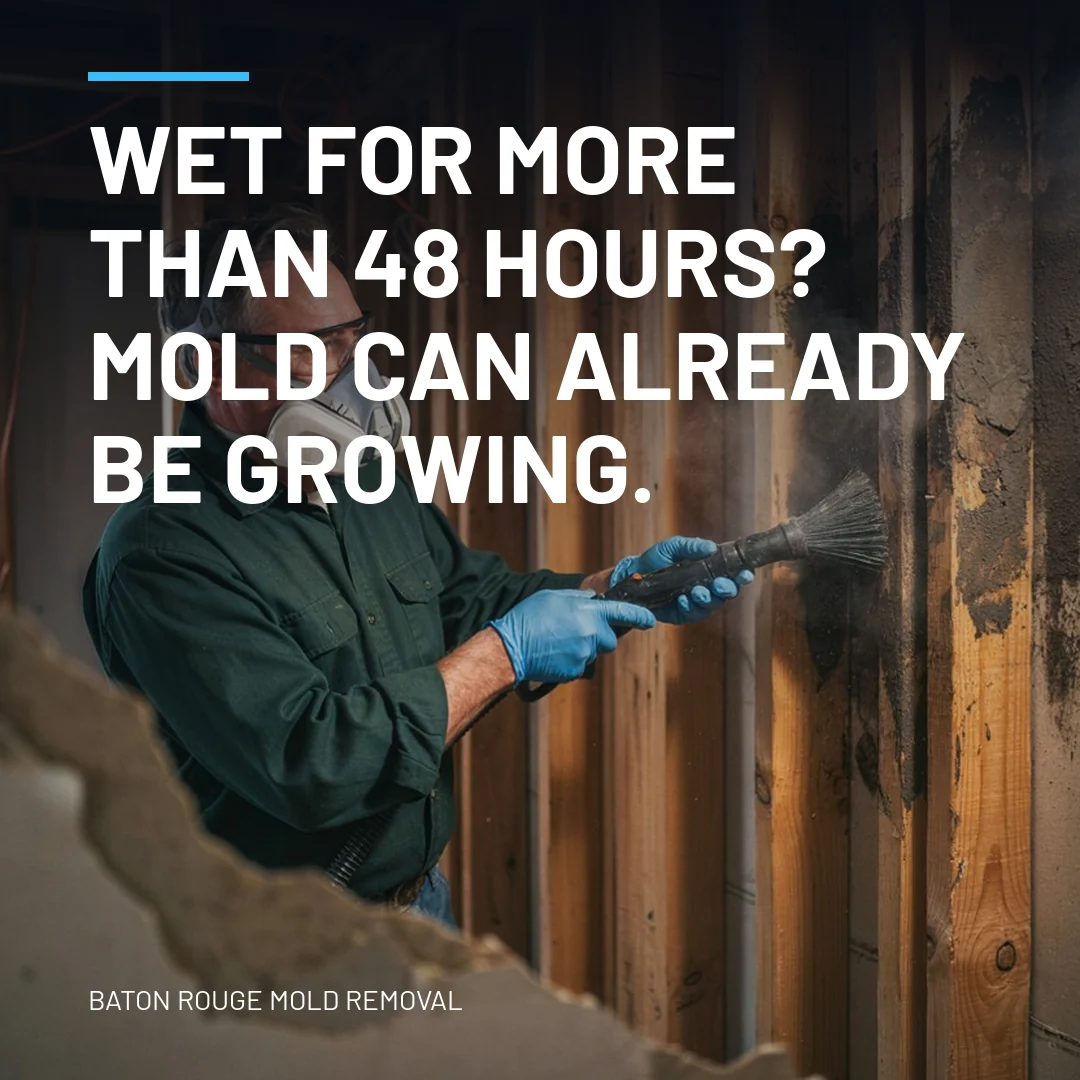 Wet for more than 48 hours? Mold can already be growing.