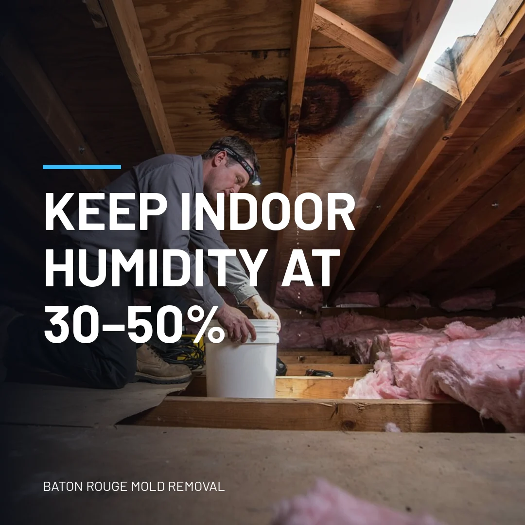 Keep indoor humidity at 30–50%