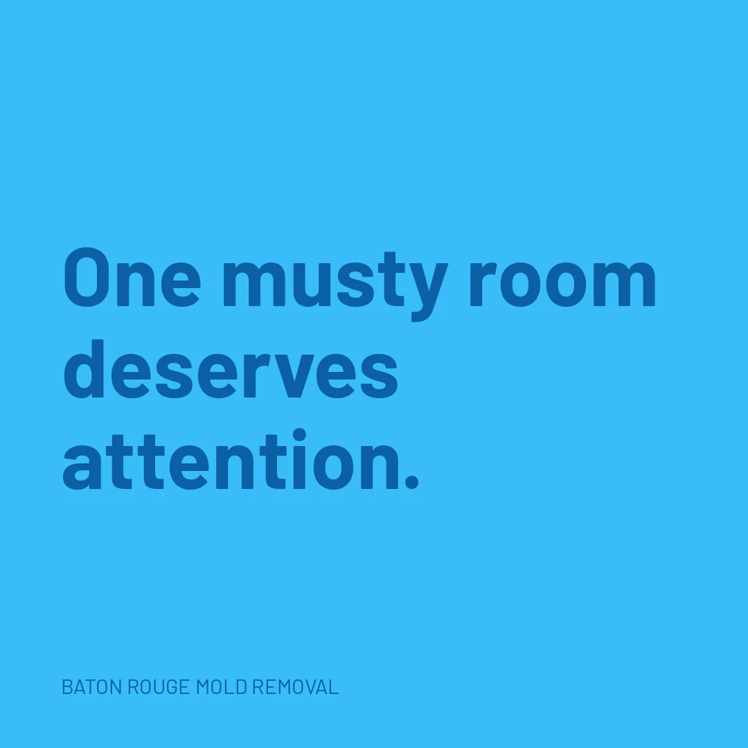 One musty room deserves attention.